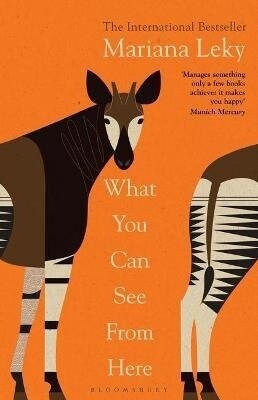 What You Can See From Here : A clear-eyed tonic in troubled times (Guardian) (Paperback)