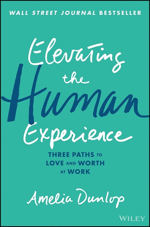 Elevating the Human Experience: Three Paths to Love and Worth at Work (Hardcover)