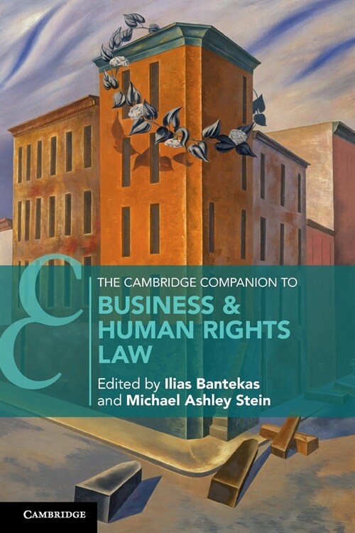 The Cambridge Companion to Business and Human Rights Law (Paperback)