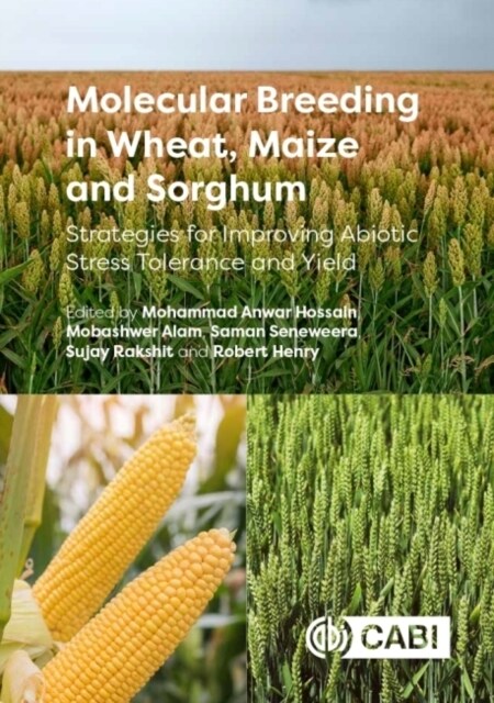Molecular Breeding in Wheat, Maize and Sorghum : Strategies for Improving Abiotic Stress Tolerance and Yield (Hardcover)