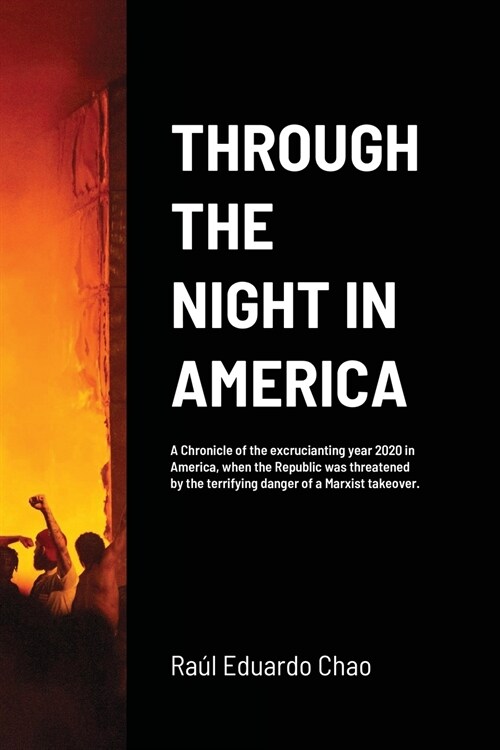 THROUGH THE NIGHT IN AMERICA (Paperback)