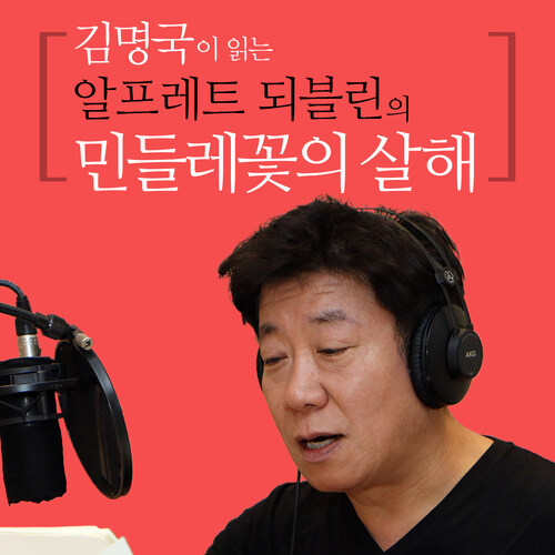 김명국이 읽는 알프레트 되블린의 민들레꽃의 살해