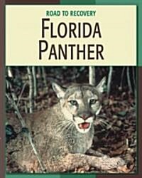 Florida Panther (Library Binding)
