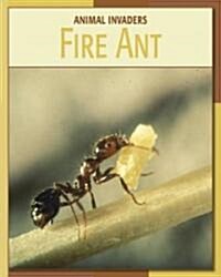 Fire Ant (Library Binding)