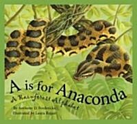 A is for Anaconda: A Rainforest Alphabet (Hardcover)