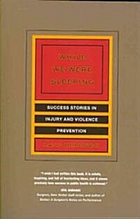 While We Were Sleeping: Success Stories in Injury and Violence Prevention (Paperback)