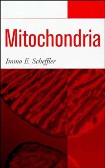 [eBook Code] Mitochondria (eBook Code, 1st)