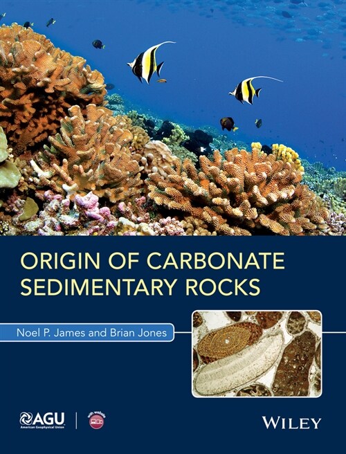 [eBook Code] Origin of Carbonate Sedimentary Rocks (eBook Code, 1st)