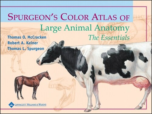 [eBook Code] Spurgeons Color Atlas of Large Animal Anatomy (eBook Code, 1st)