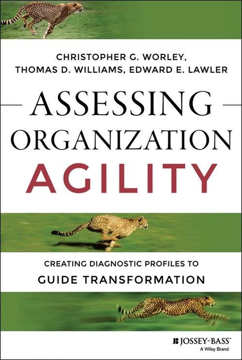 [eBook Code] Assessing Organization Agility (eBook Code, 1st)