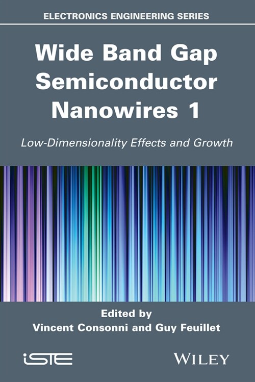 [eBook Code] Wide Band Gap Semiconductor Nanowires 1 (eBook Code, 1st)