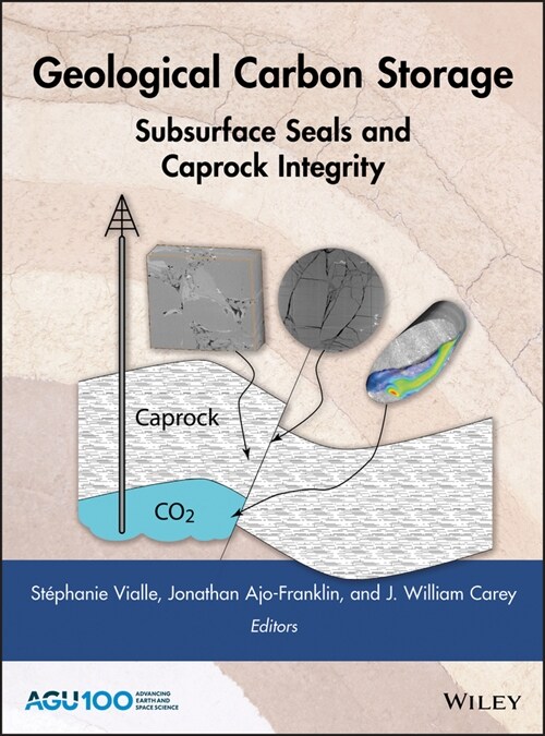 [eBook Code] Geological Carbon Storage (eBook Code, 1st)