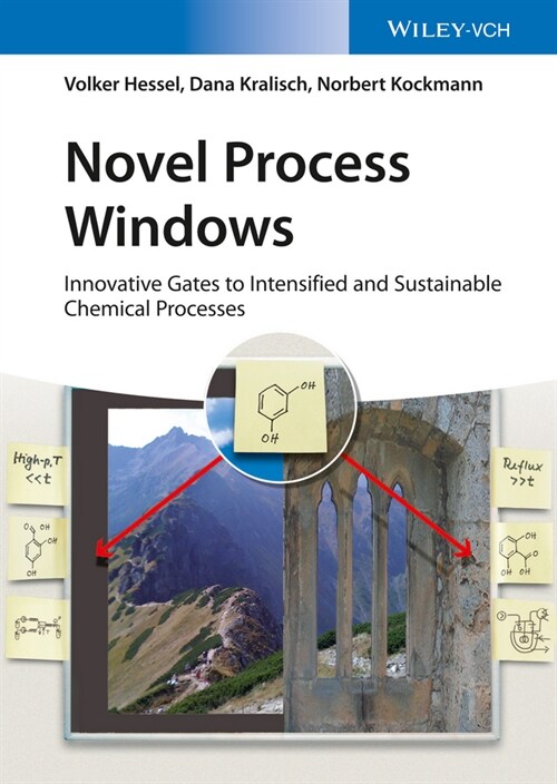 [eBook Code] Novel Process Windows (eBook Code, 1st)