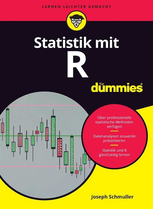 [eBook Code] Statistik mit R für Dummies (eBook Code, 1st)