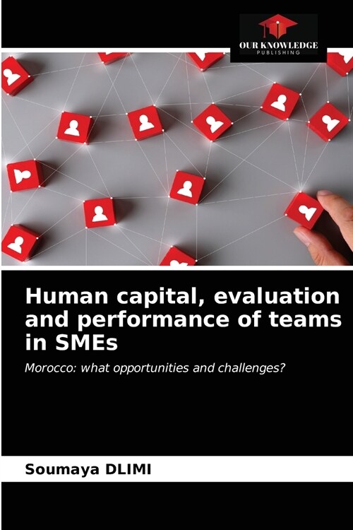 Human capital, evaluation and performance of teams in SMEs (Paperback)
