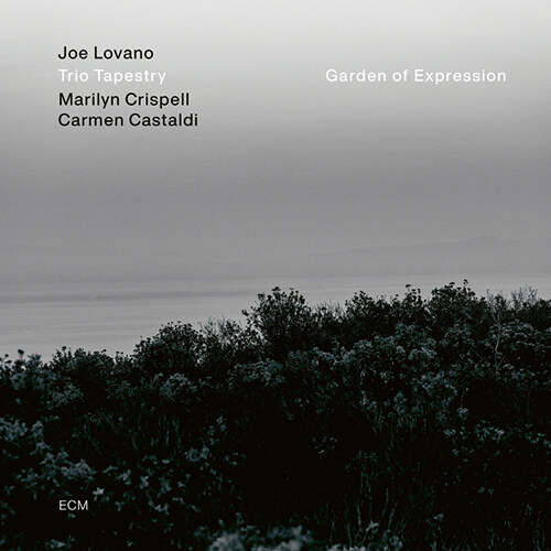 [수입] Joe Lovano & Marilyn Crispell & Carmen Castaldi - Garden Of Expression [LP]