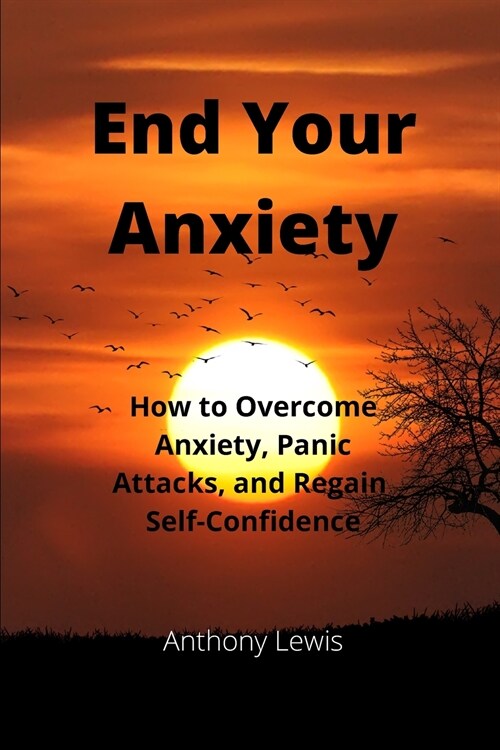 End your Anxiety (Paperback)