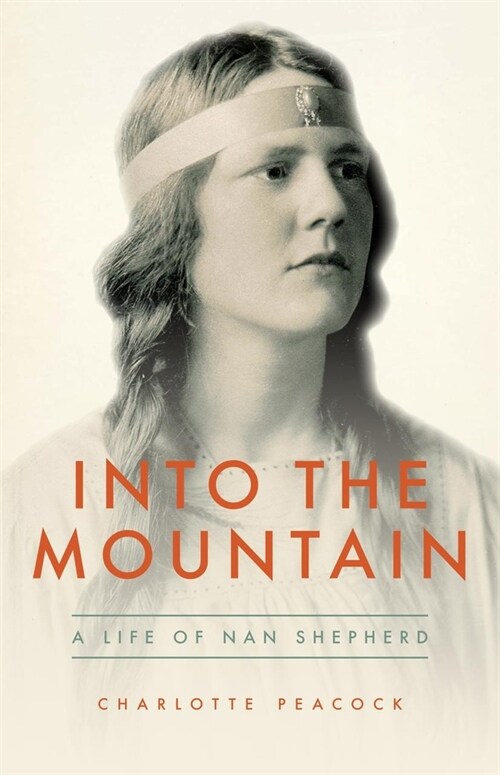 Into The Mountain (Paperback)