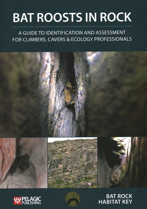 Bat Roosts in Rock : A Guide to Identification and Assessment for Climbers, Cavers & Ecology Professionals (Paperback)