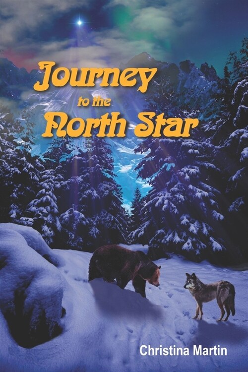 Journey to the North Star (Paperback)