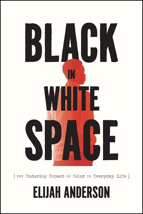 Black in White Space: The Enduring Impact of Color in Everyday Life (Hardcover)