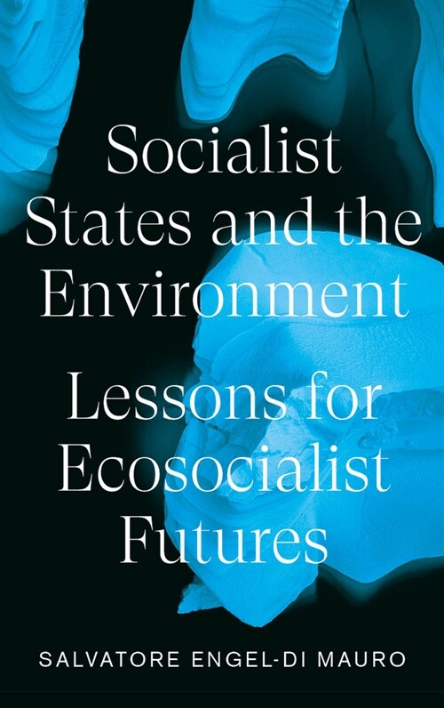 Socialist States and the Environment : Lessons for Eco-Socialist Futures (Paperback)