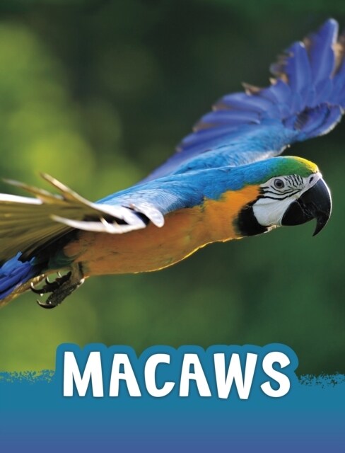 MACAWS (Paperback)