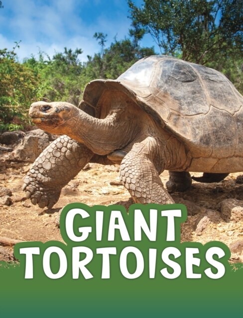 GIANT TORTOISES (Paperback)
