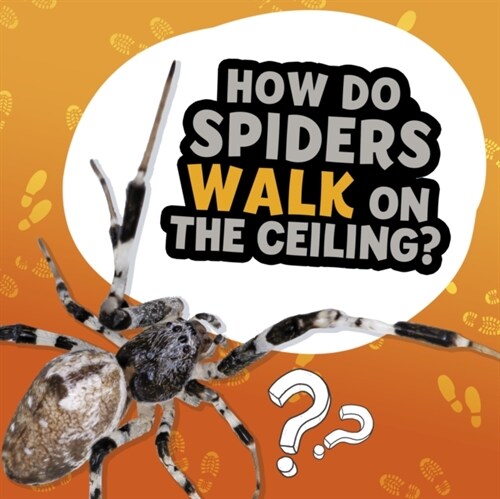 How Do Spiders Walk on the Ceiling? (Paperback)