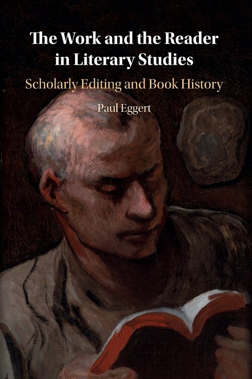 The Work and the Reader in Literary Studies : Scholarly Editing and Book History (Paperback)