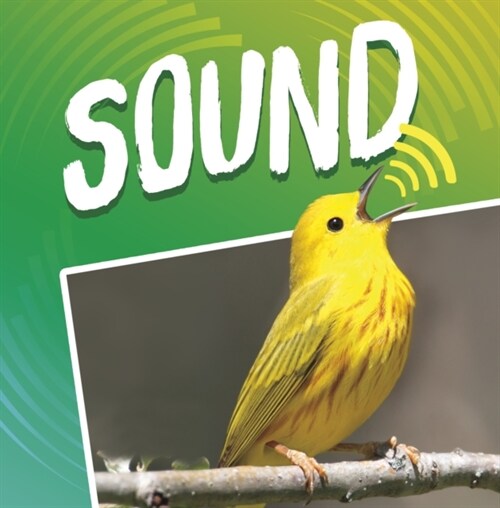 SOUND (Paperback)