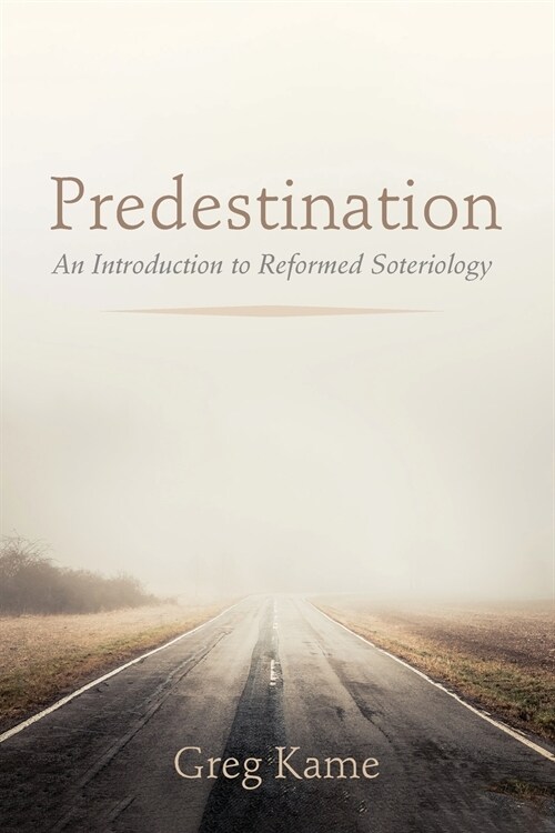 Predestination (Paperback)