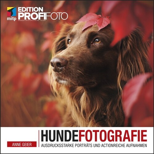 Hundefotografie (Paperback)