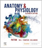 Anatomy & Physiology (Includes A&p Online Course) [With Access Code] (Hardcover, 11)