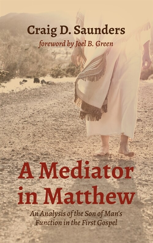 A Mediator in Matthew (Hardcover)