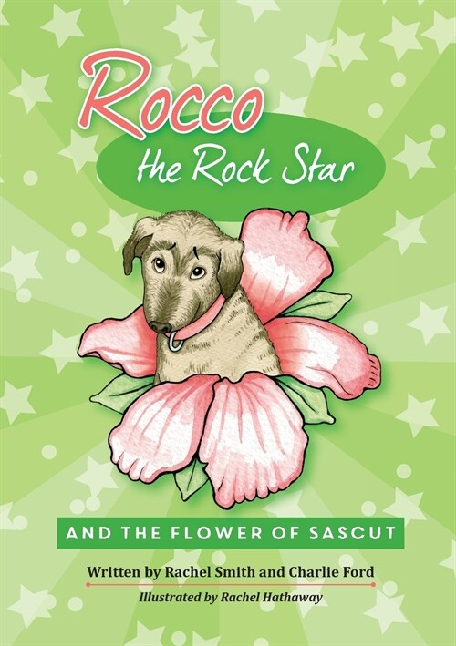 Rocco the Rock Star (Paperback)