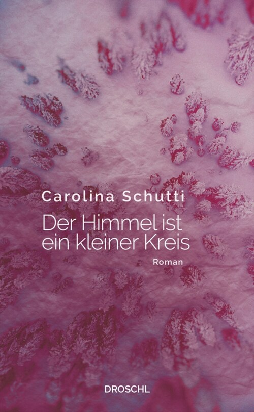 Der Himmel ist ein kleiner Kreis (Hardcover)