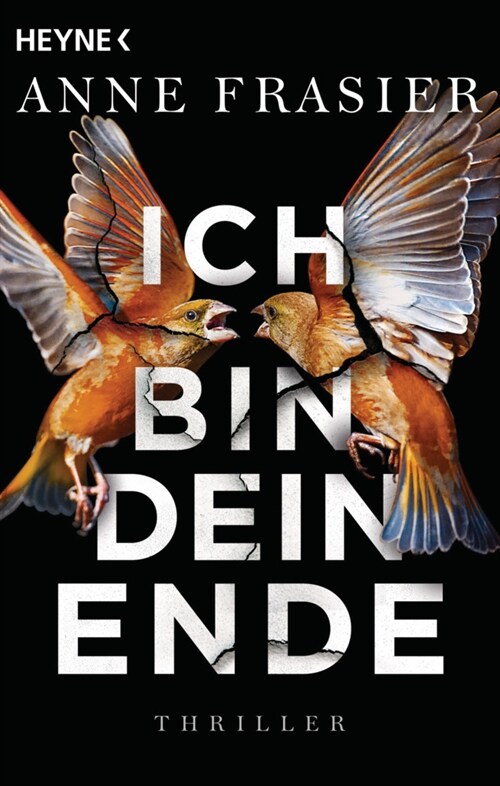 Ich bin dein Ende (Paperback)