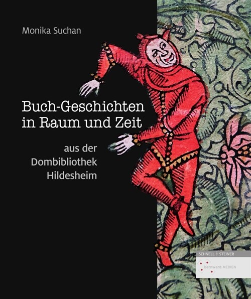 Buch-Geschichten in Raum und Zeit aus der Dombibliothek Hildesheim (Hardcover)