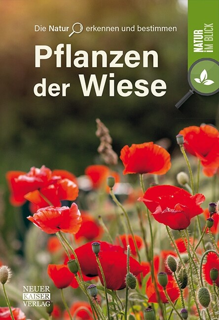 Pflanzen der Wiese (Paperback)