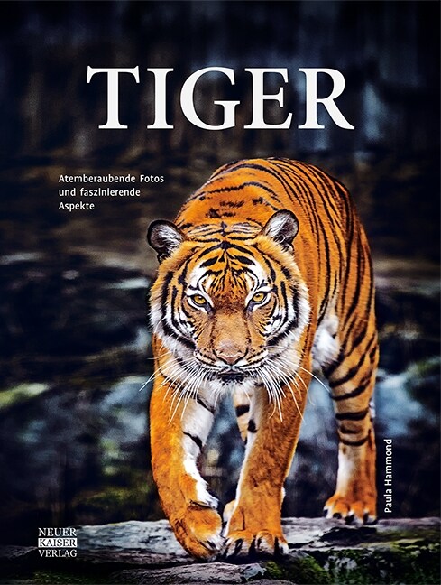 Tiger (Hardcover)
