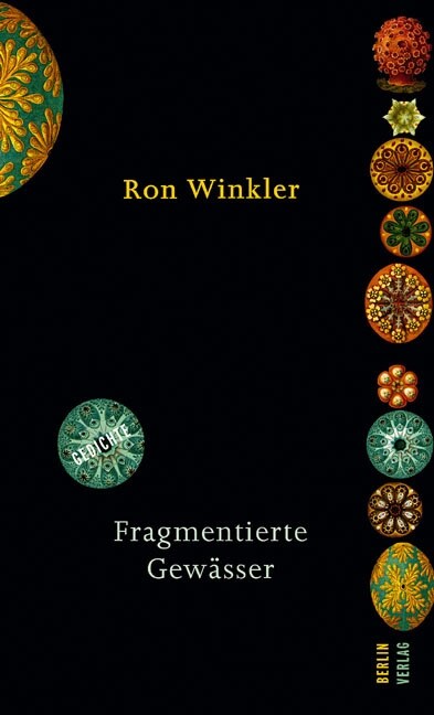 Fragmentierte Gewasser (Hardcover)