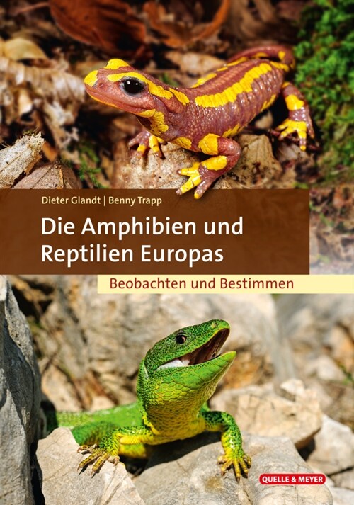 Die Amphibien & Reptilien Europas (Hardcover)