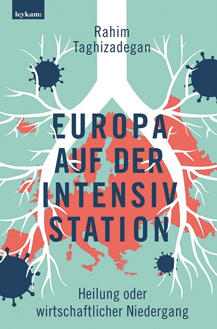 Europa auf der Intensivstation (Hardcover)