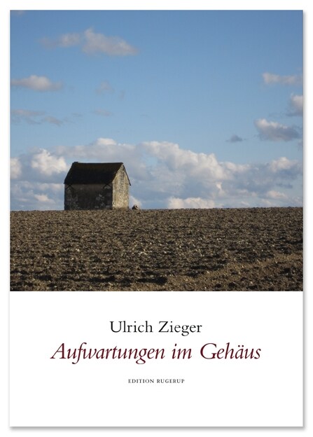 Aufwartungen im Gehaus (Hardcover)