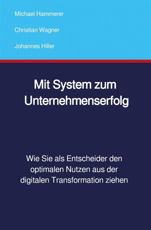 Mit System zum Unternehmenserfolg (Paperback)