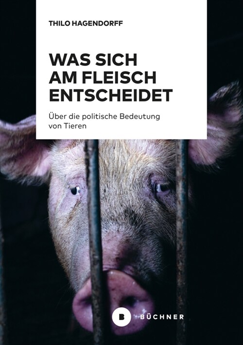 Was sich am Fleisch entscheidet (Paperback)