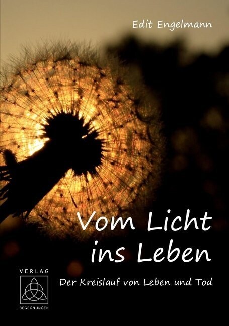 Vom Licht ins Leben (Paperback)