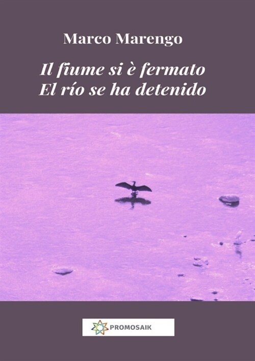 Il fiume si e fermato El rio se ha detenido (Paperback)