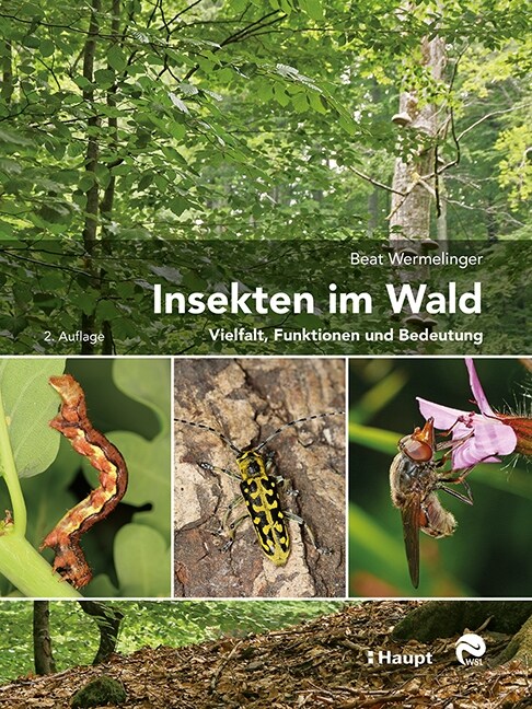 Insekten im Wald (Hardcover)